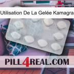 Utilisation De La Gelée Kamagra 16